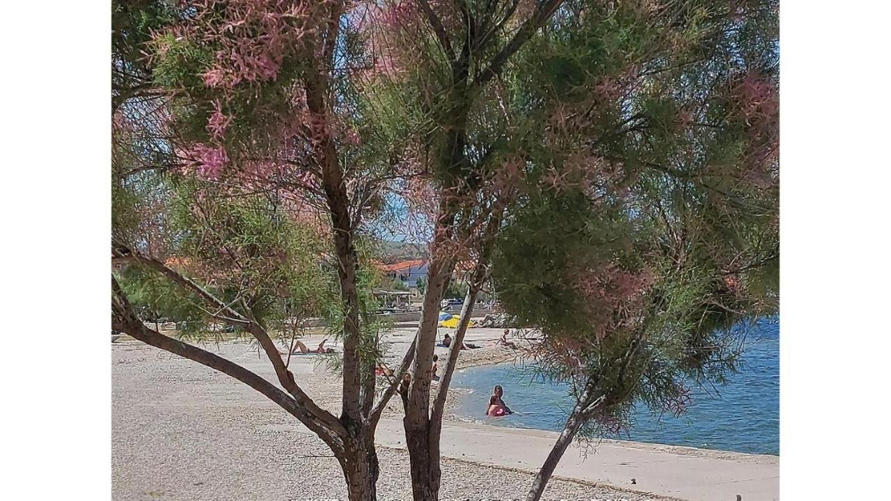 Blue Sea Vir Apartments מראה חיצוני תמונה